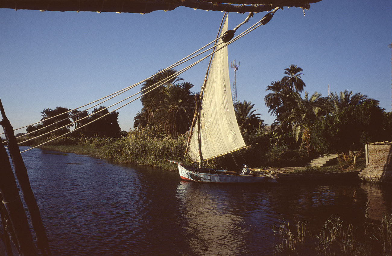 egyp04_30 nil felouque.jpg - Sur le Nil felouque Provia 100 F